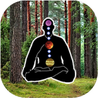 Wood element with Buddha meditating - 5 Elements QI GONG Online Energy course for Health Wellness Consciousness Expansion